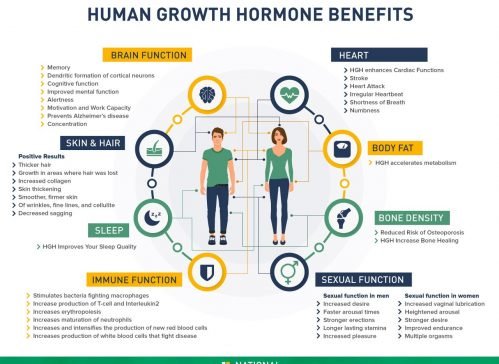 Human Growth Hormone Benefits